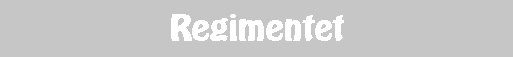 Regimentet